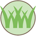 Lawn Dethatching And Aeration Pros