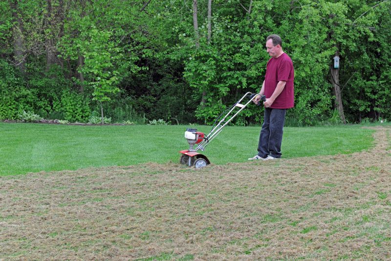 Residential Lawn Aeration Service