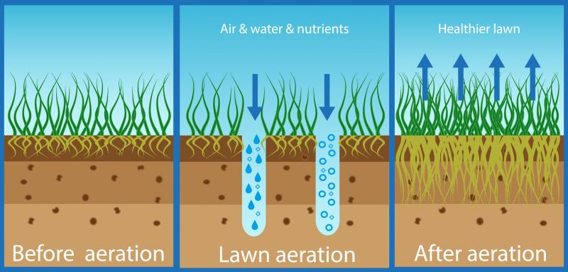 Soil Aeration Service