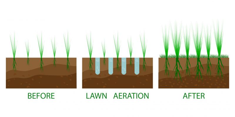 Spring Lawn Aeration